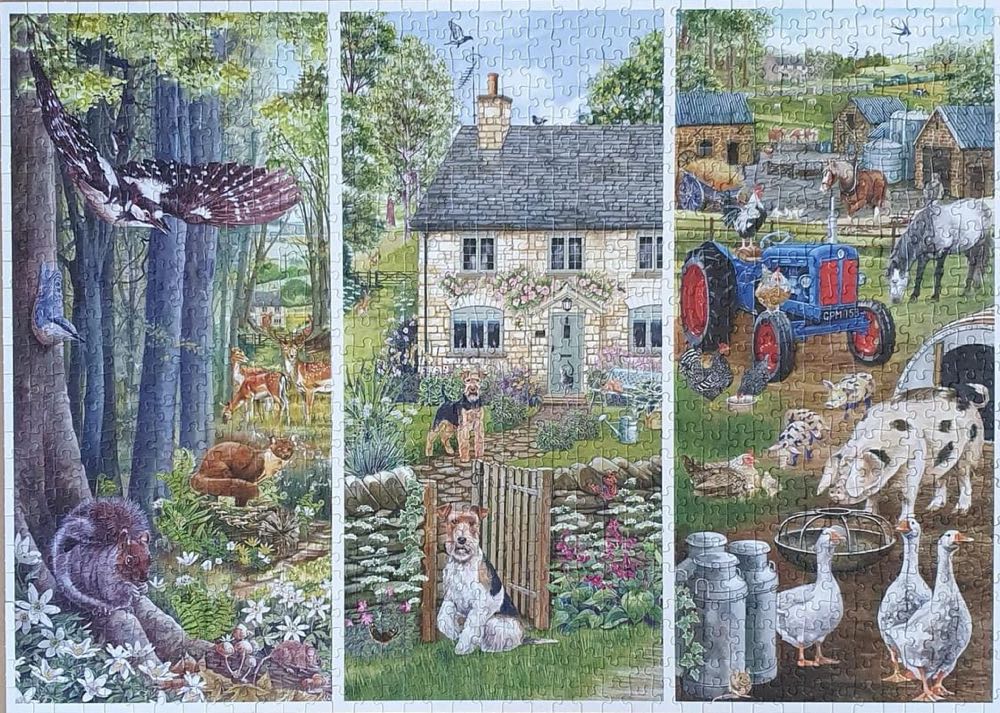 Woodland Farm 🐦 - Falcon de luxe puzzle collectible [Barcode 8710126021859] - Main Image 3