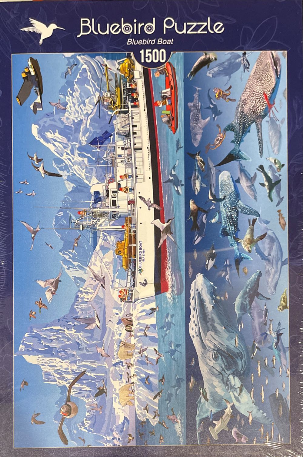 Harry Potter et Ron Weasley