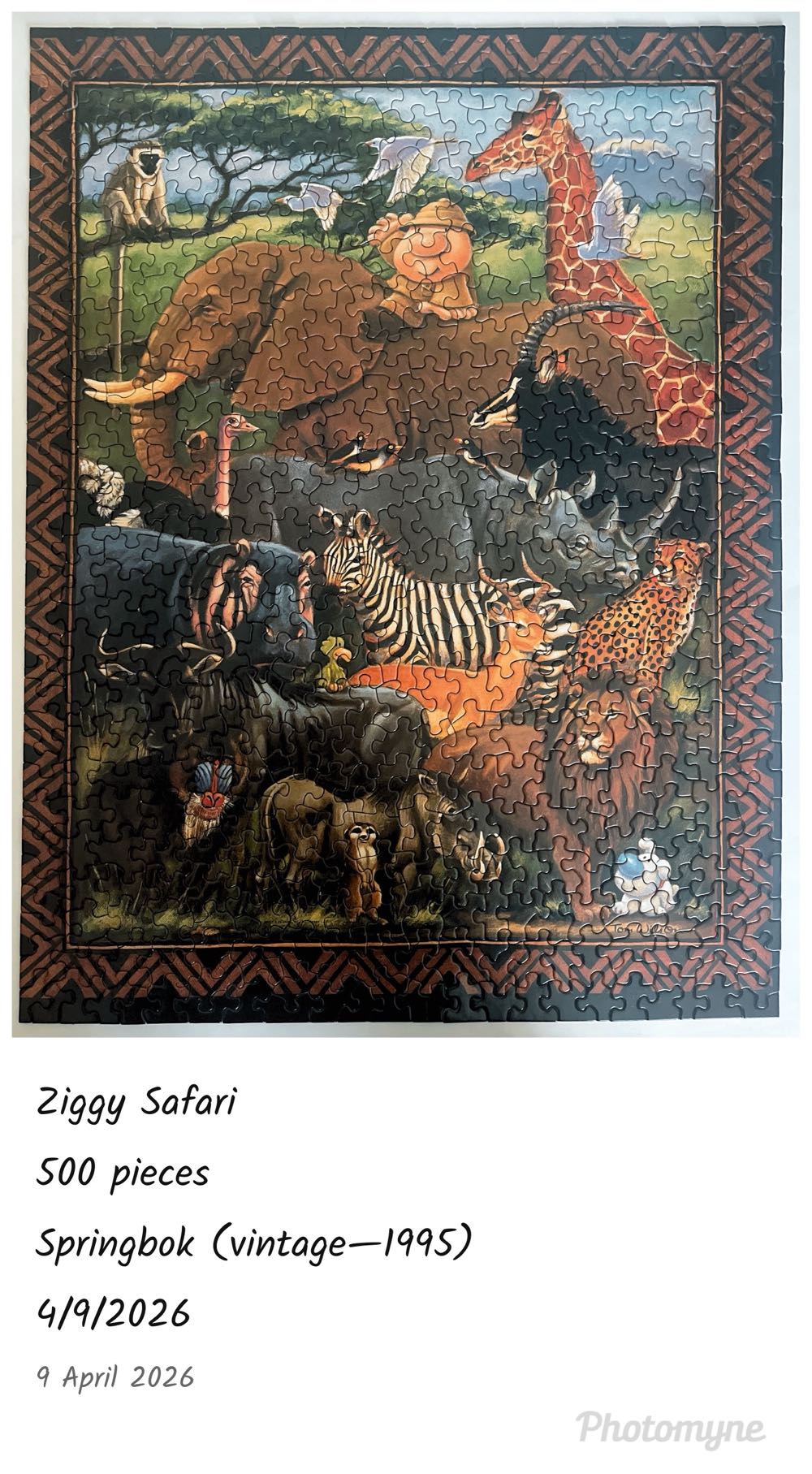 Ziggy Safari - Springbok puzzle collectible - Main Image 2