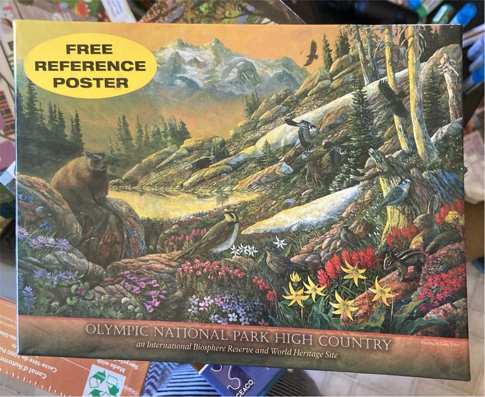 The Windy City Mini Puzzle