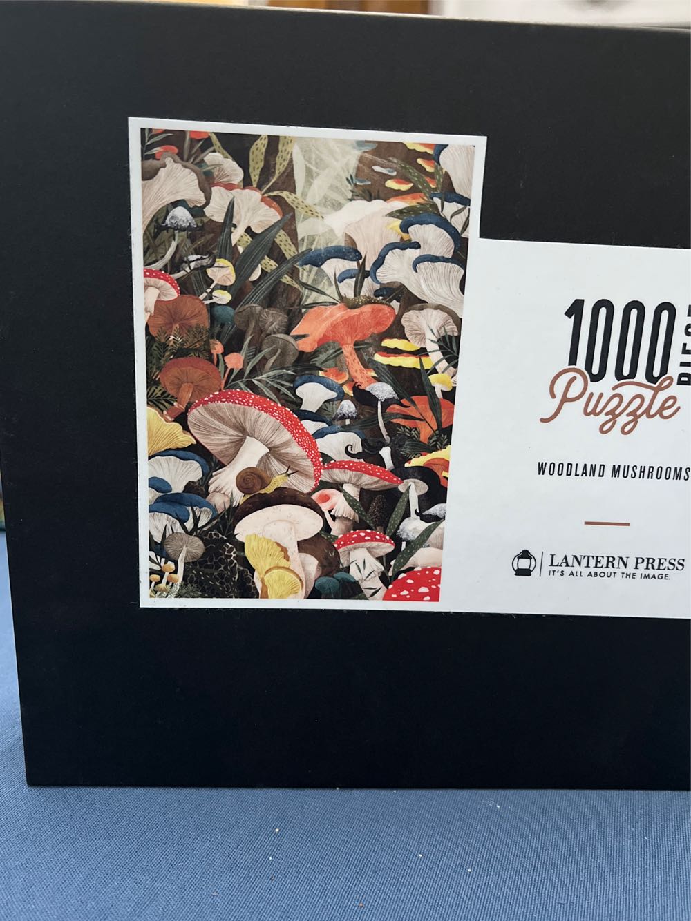 Sunsout Inc Potting Table Pc Jigsaw Puzzle By Artist: Tom Wood Finished Size 20” X 27” Mpn# 23028