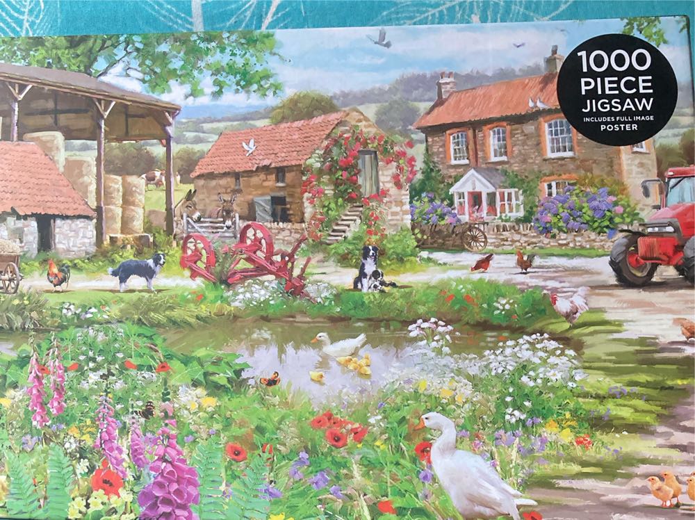 David & Bathsheba Bedford Book Of Hours Piece Jigsaw Puzzle Willis Toys