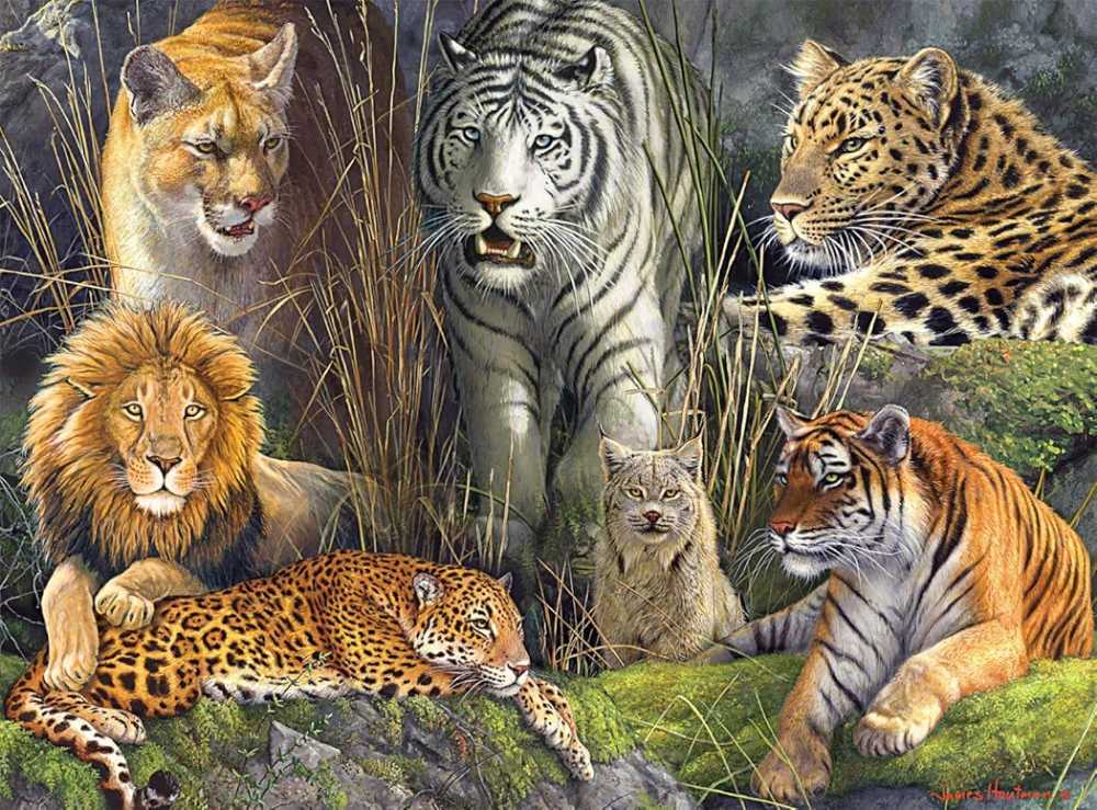 Big Cat Collage - Buffalo puzzle collectible [Barcode 079346131211] - Main Image 2