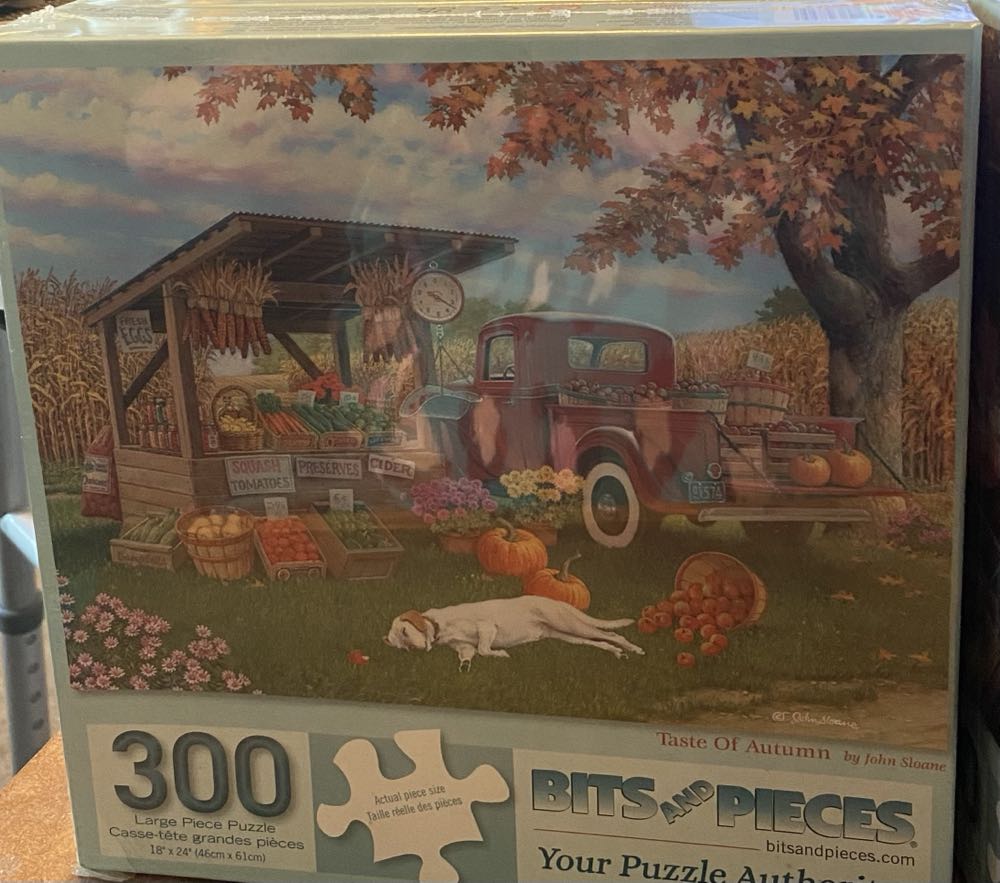 Taste Of Autumn - Bits & Pieces puzzle collectible [Barcode 192949064899] - Main Image 2