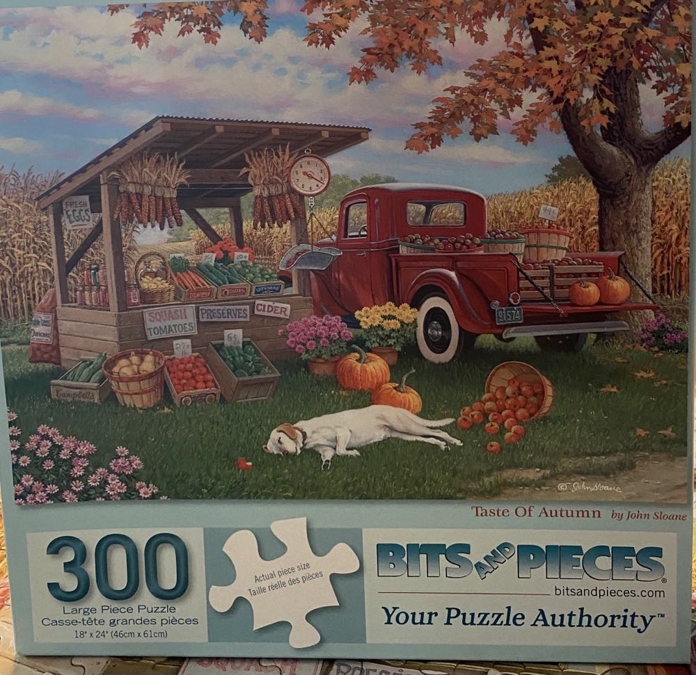 Taste Of Autumn - Bits & Pieces puzzle collectible [Barcode 192949064899] - Main Image 3