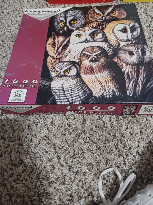 Owls - American Publishing Corp. puzzle collectible - Main Image 2