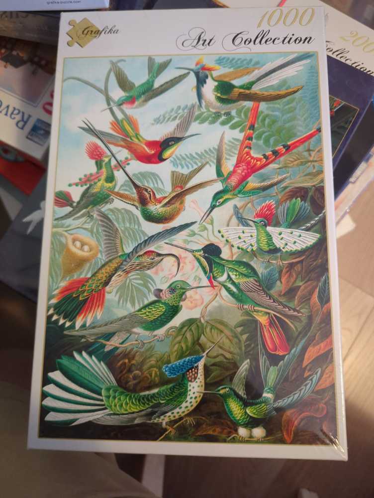 Family Beach Vacation