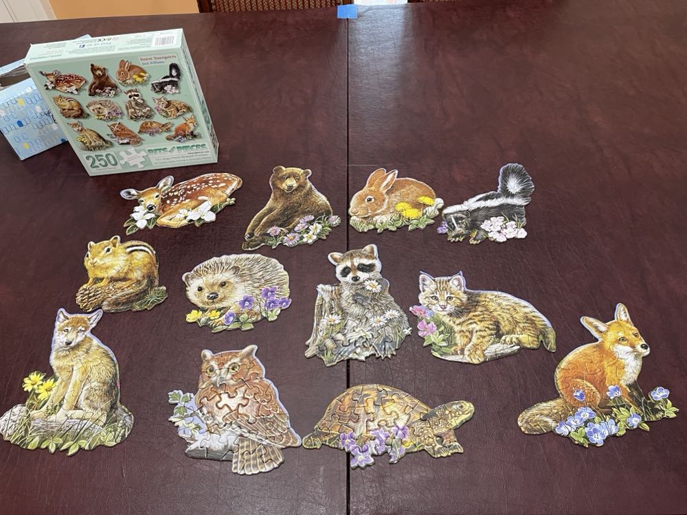 Forest Youngsters: 12 Mini Shapes - Bits & Pieces puzzle collectible [Barcode 192949023636] - Main Image 3