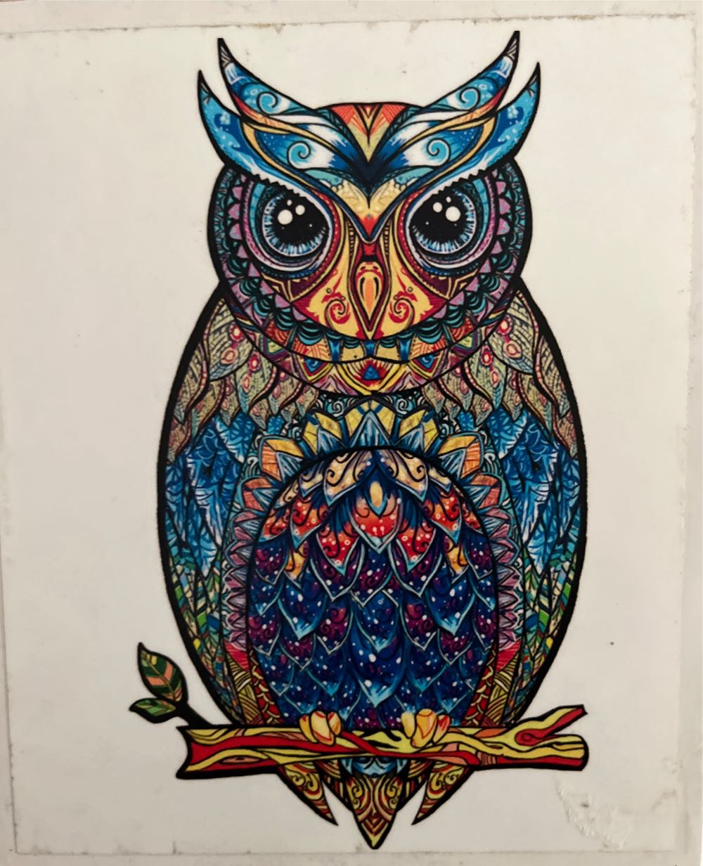 Independence Day Celebrations