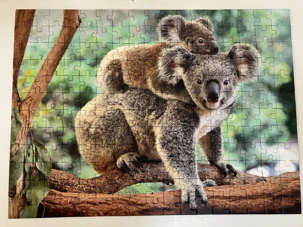 Koala Love - Ravensburger puzzle collectible [Barcode 4005556129454] - Main Image 2