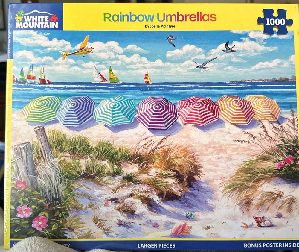 Midnight At The Library