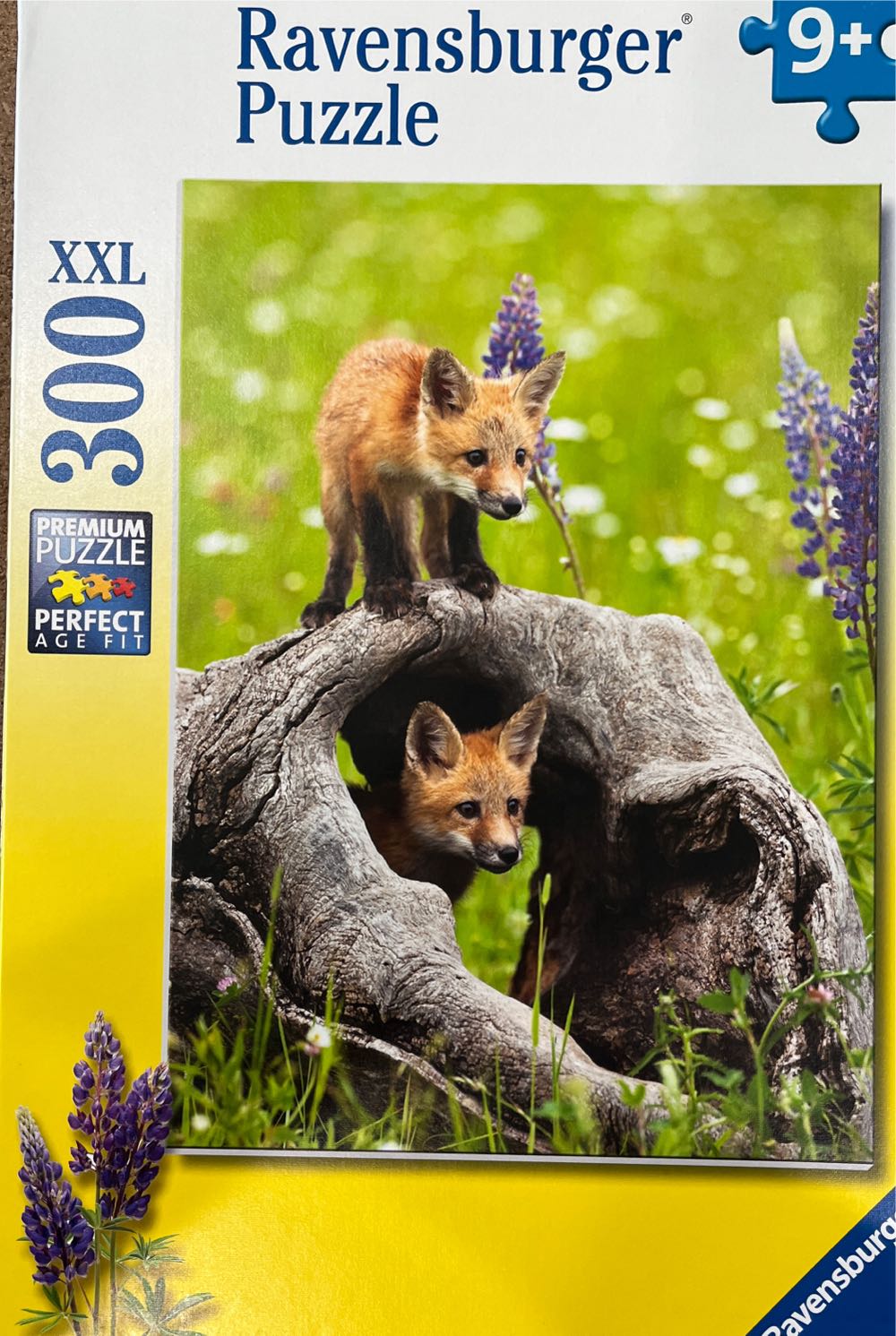 Cozy Christmas Cookies