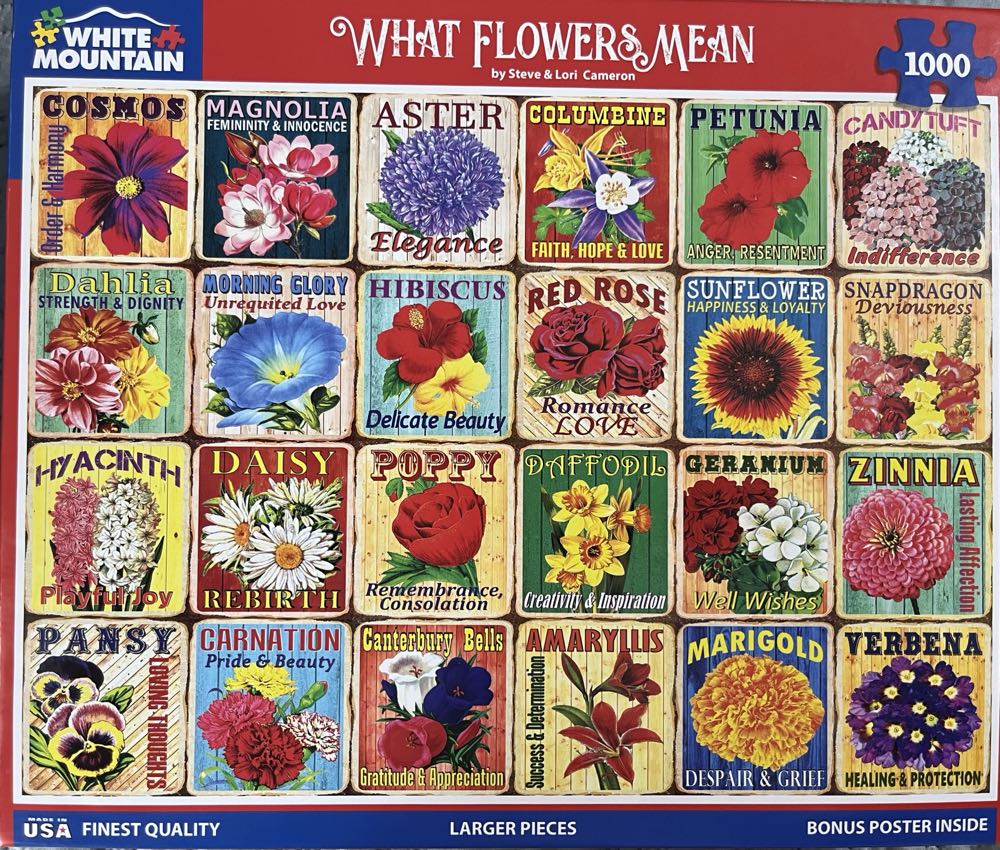 Bouquet Of Hydrangeas