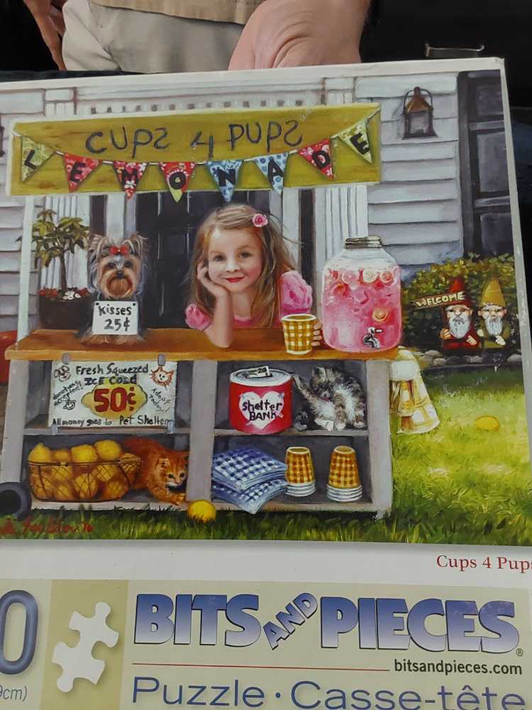 Tortoise and the Hare 🆕