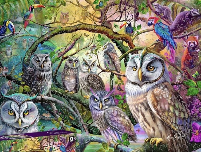 Tropical Owls - Karmin International puzzle collectible [Barcode 773392503571] - Main Image 3