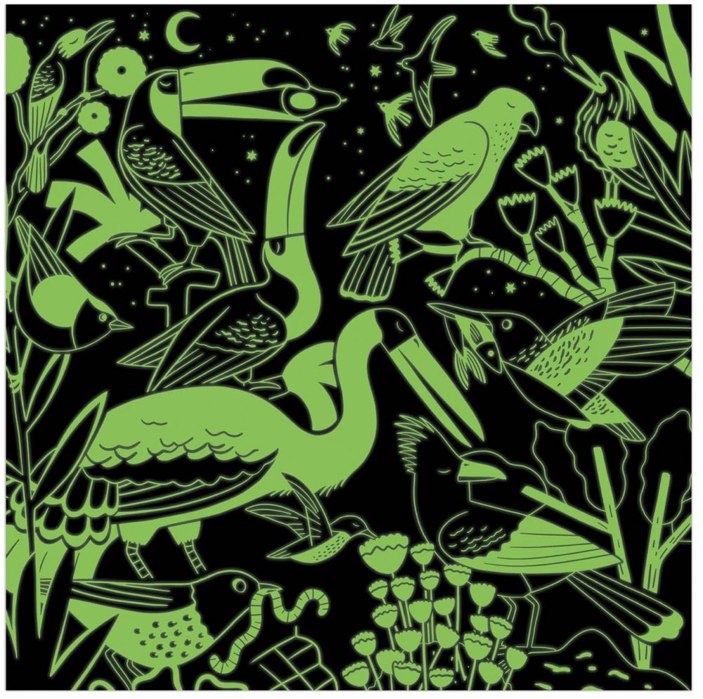 Birds*** - Mudpuppy puzzle collectible [Barcode 9780735378711] - Main Image 2