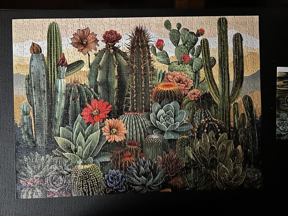 Vintage Cactus - Pickforu puzzle collectible - Main Image 3