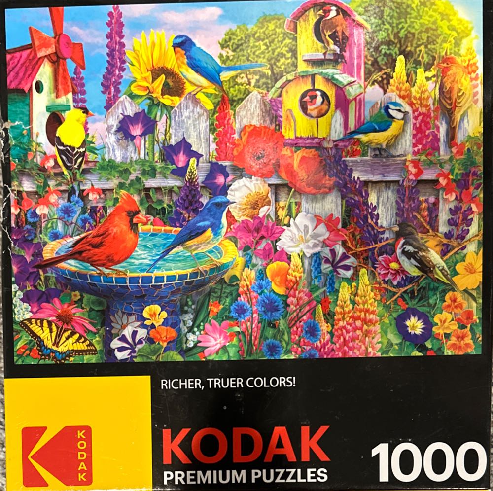 Rose Colored Glasses