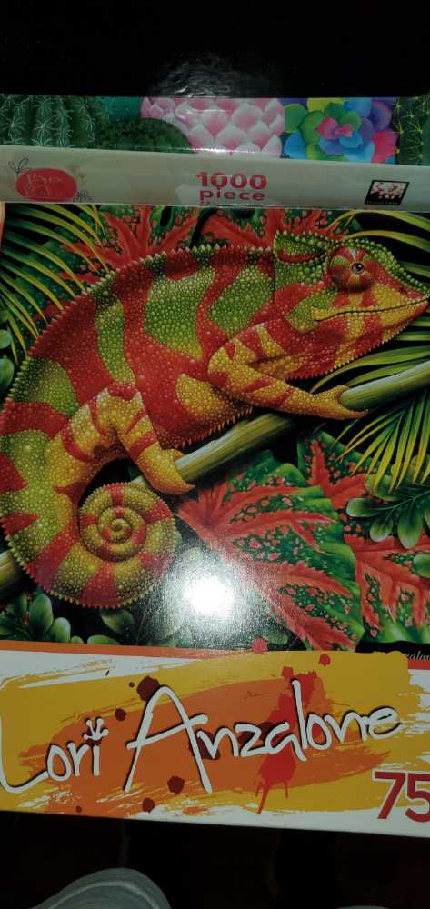 Legend Of The Silver Screen