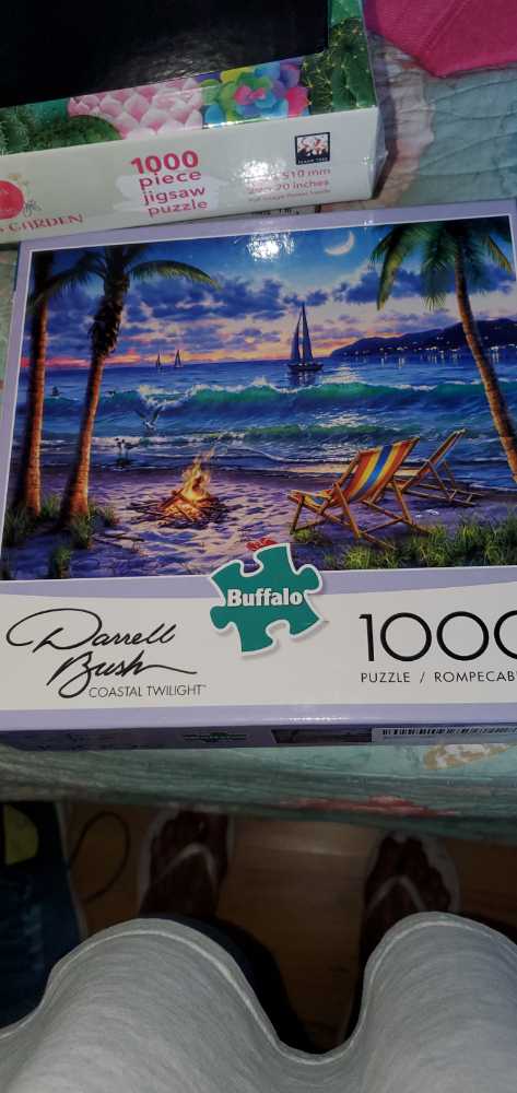 Coastal Twilight  - Buffalo 🦬 🇺🇸 puzzle collectible - Main Image 1