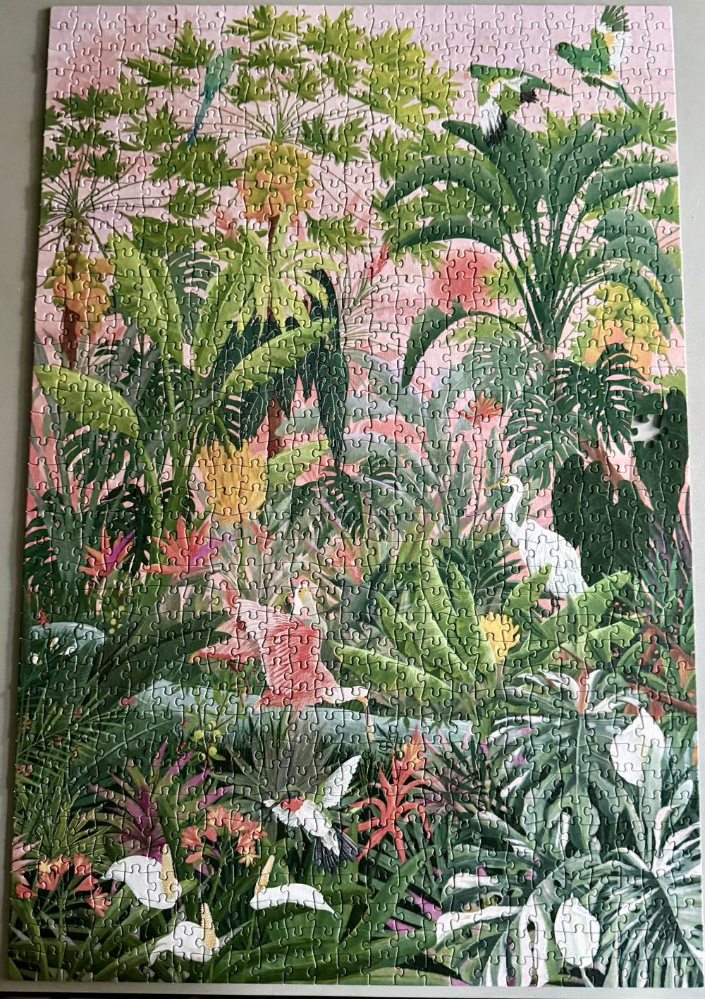 Tropical Oasis  - Lantern Press puzzle collectible [Barcode 744252709563] - Main Image 2