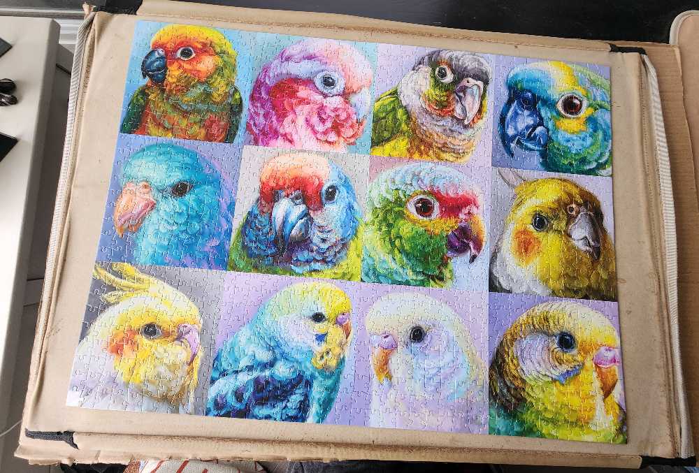 Parrot Perfection - Buffalo Games puzzle collectible [Barcode 079346137060] - Main Image 2