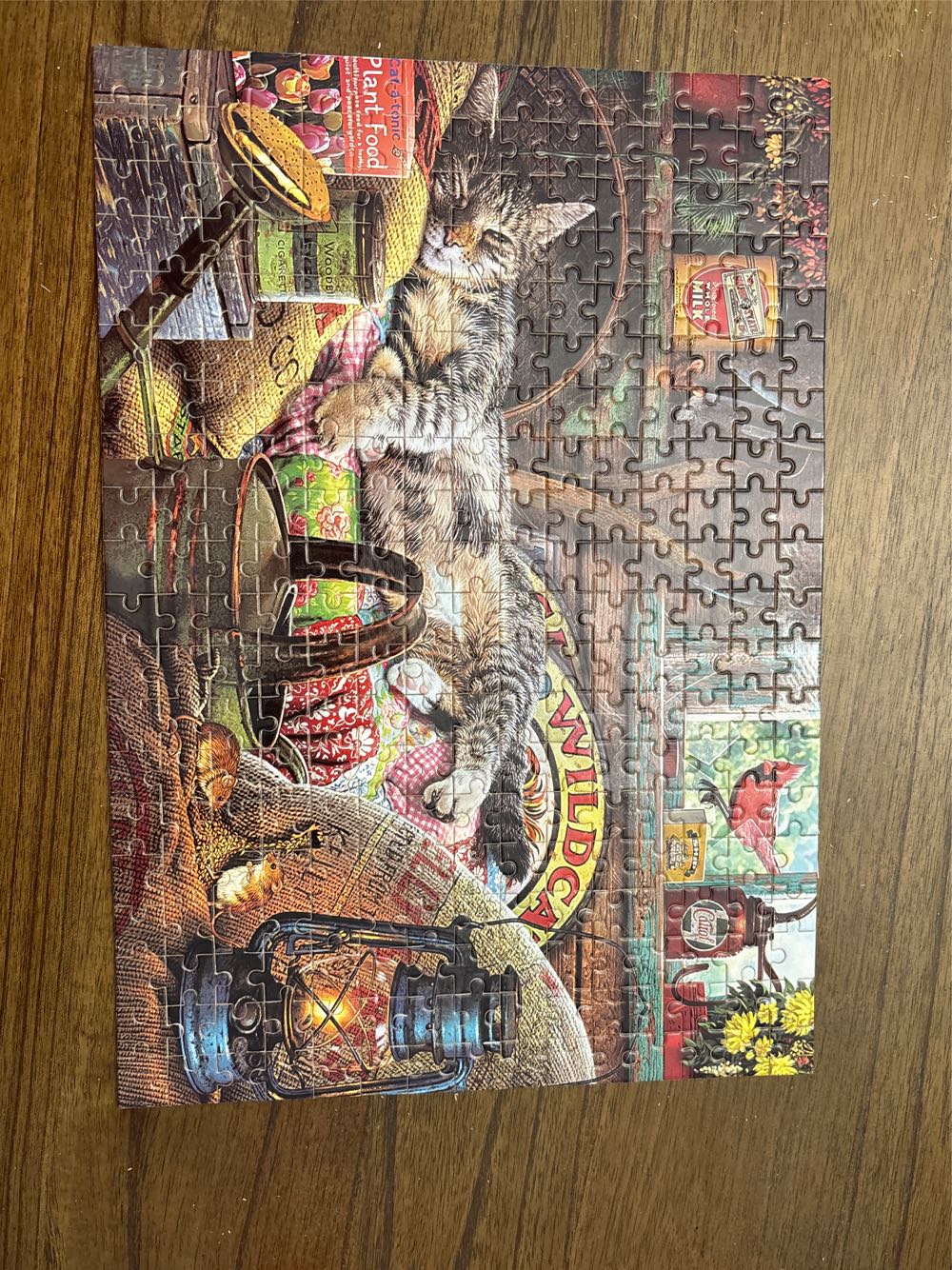 Cat In shed - Desert Camel puzzle collectible - Main Image 2