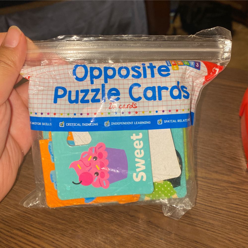 For the Love of Succulents