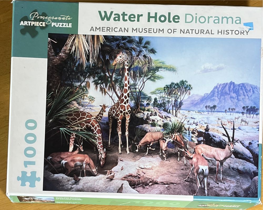 Meet The Aliens: Sylas And Eirlys