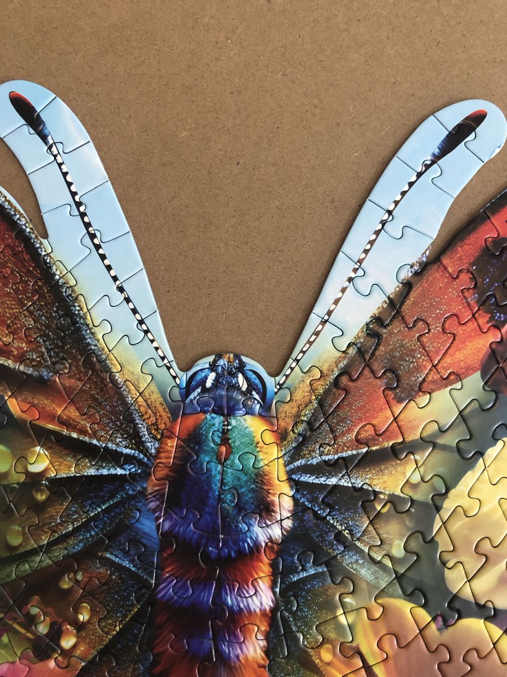 Butterfly Beauty  - RoseArt puzzle collectible [Barcode 4895145443494] - Main Image 3