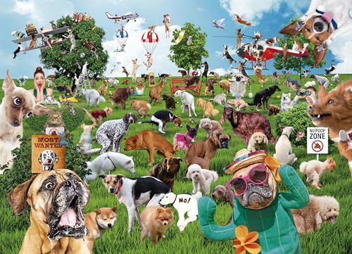 Good Old Day A Special Time