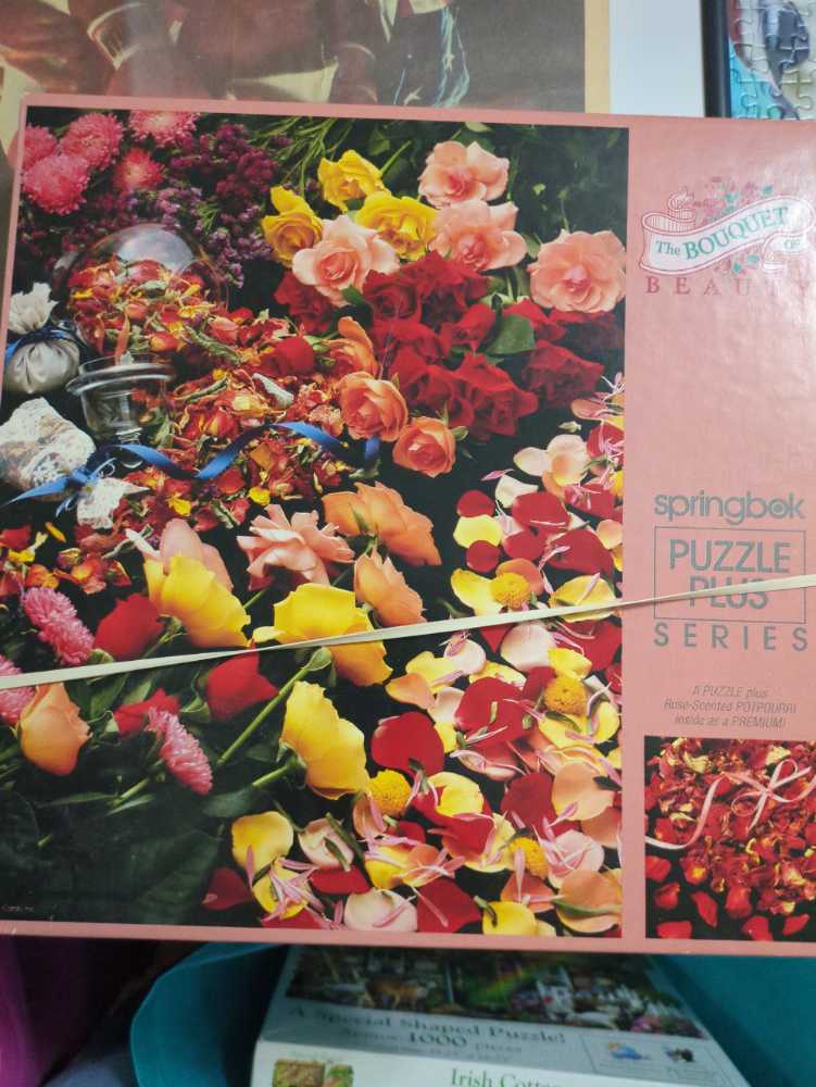 Don’t F*ck With Birds