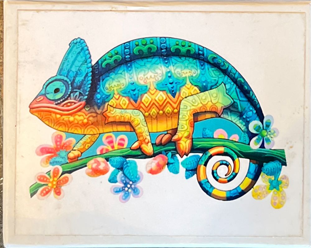 The Hidden Treasure El Tesoro Escondido