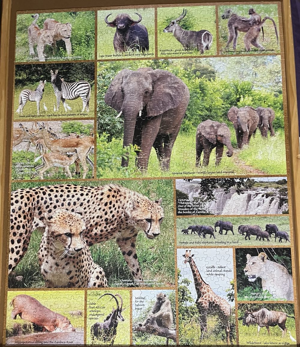 African Safari/UPic/M/TRADED - White Mountain Puzzles puzzle collectible - Main Image 2