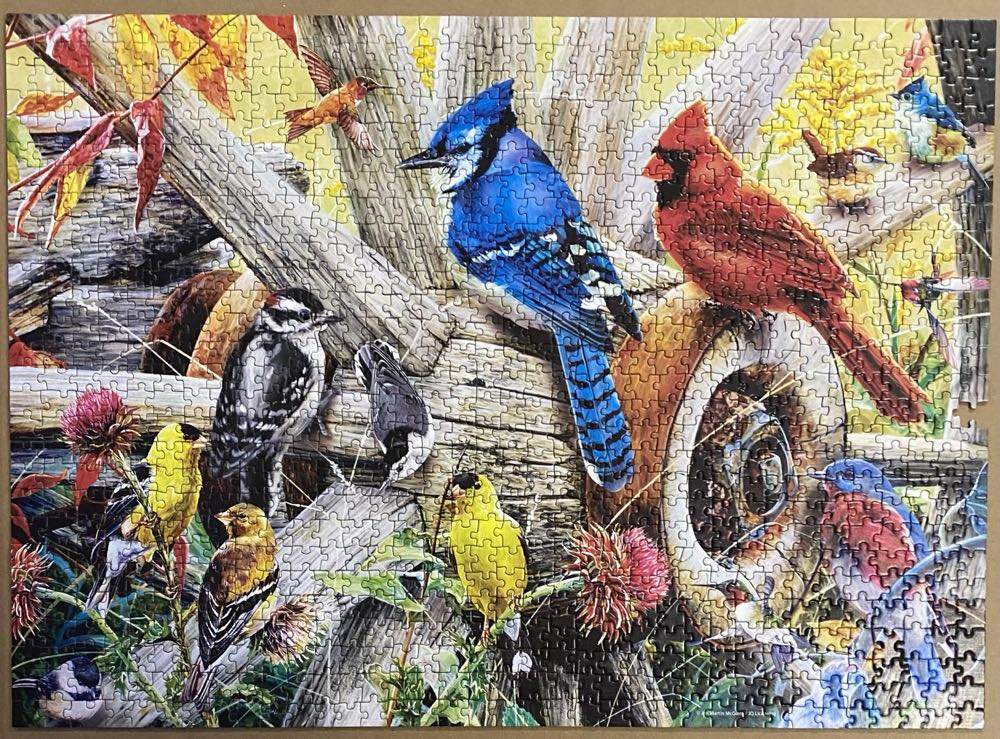 Backyard Birds - Audubon - Master Pieces 🇺🇸 puzzle collectible [Barcode 705988319785] - Main Image 2