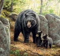 Masterpieces Puzzle Glue 5 Oz