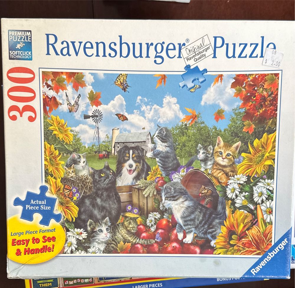 Tortoise And The Hare - For Sale