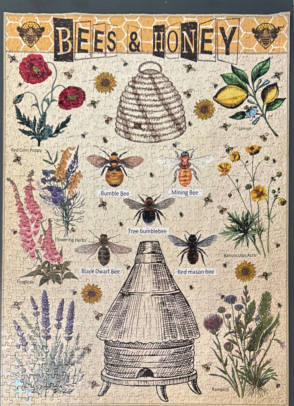 Crocodile Creek Magic 12 Piece