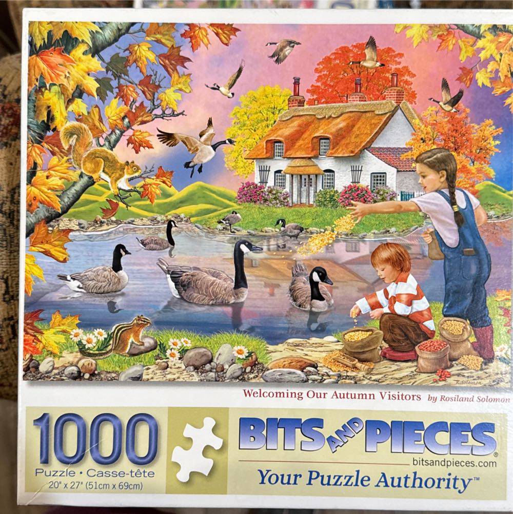 Colored Buttons 300 Piece