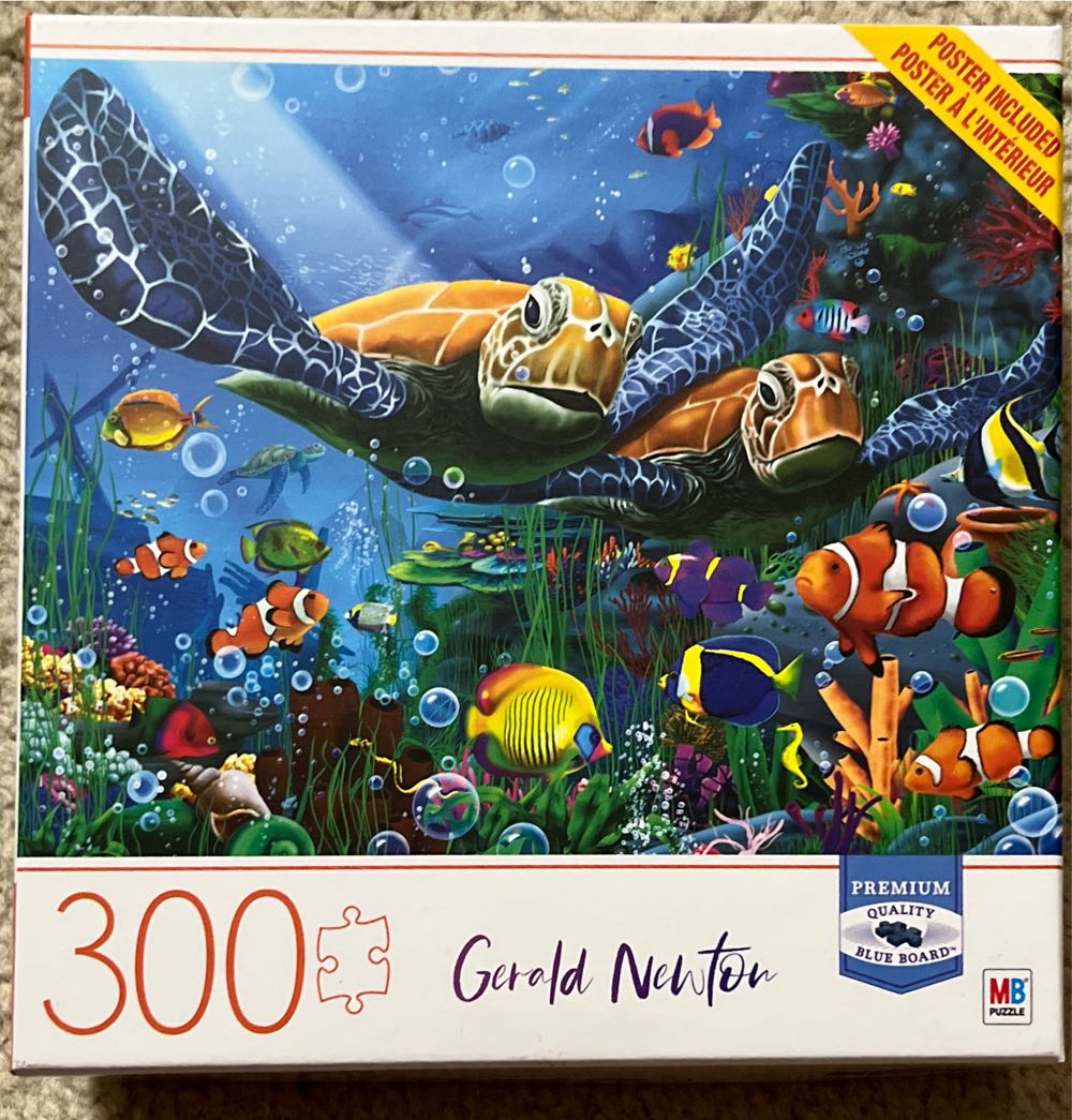 Aimee : Treasure Hunt Bookshelf