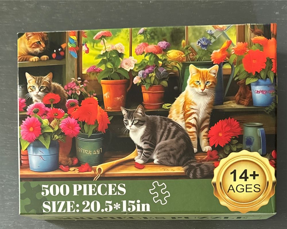 Aimee : Curiosity Shop 🆕 🔒