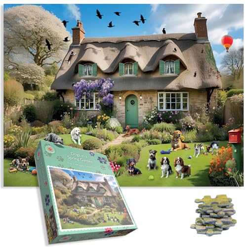 Morning At Christmas Cove