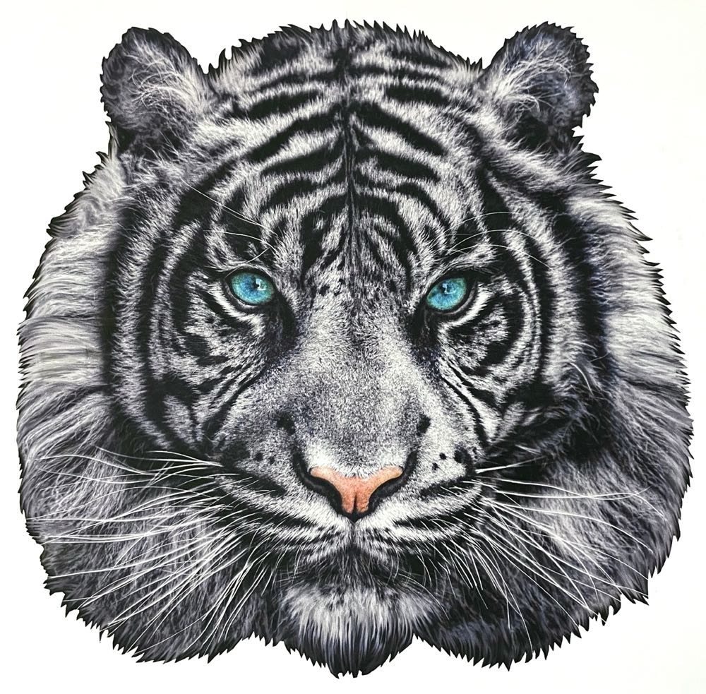 Mesmer-eyes-ing - Wentworth Wooden Puzzles puzzle collectible [Barcode 6050265358396] - Main Image 2