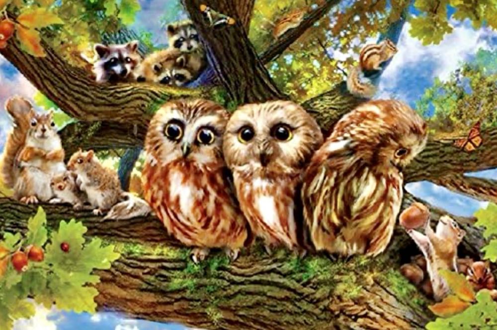 Aimee : Owls in the Forest of Beech - Apple One puzzle collectible [Barcode 4959295018060] - Main Image 2