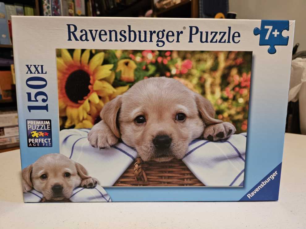 The Wizard’s Castle