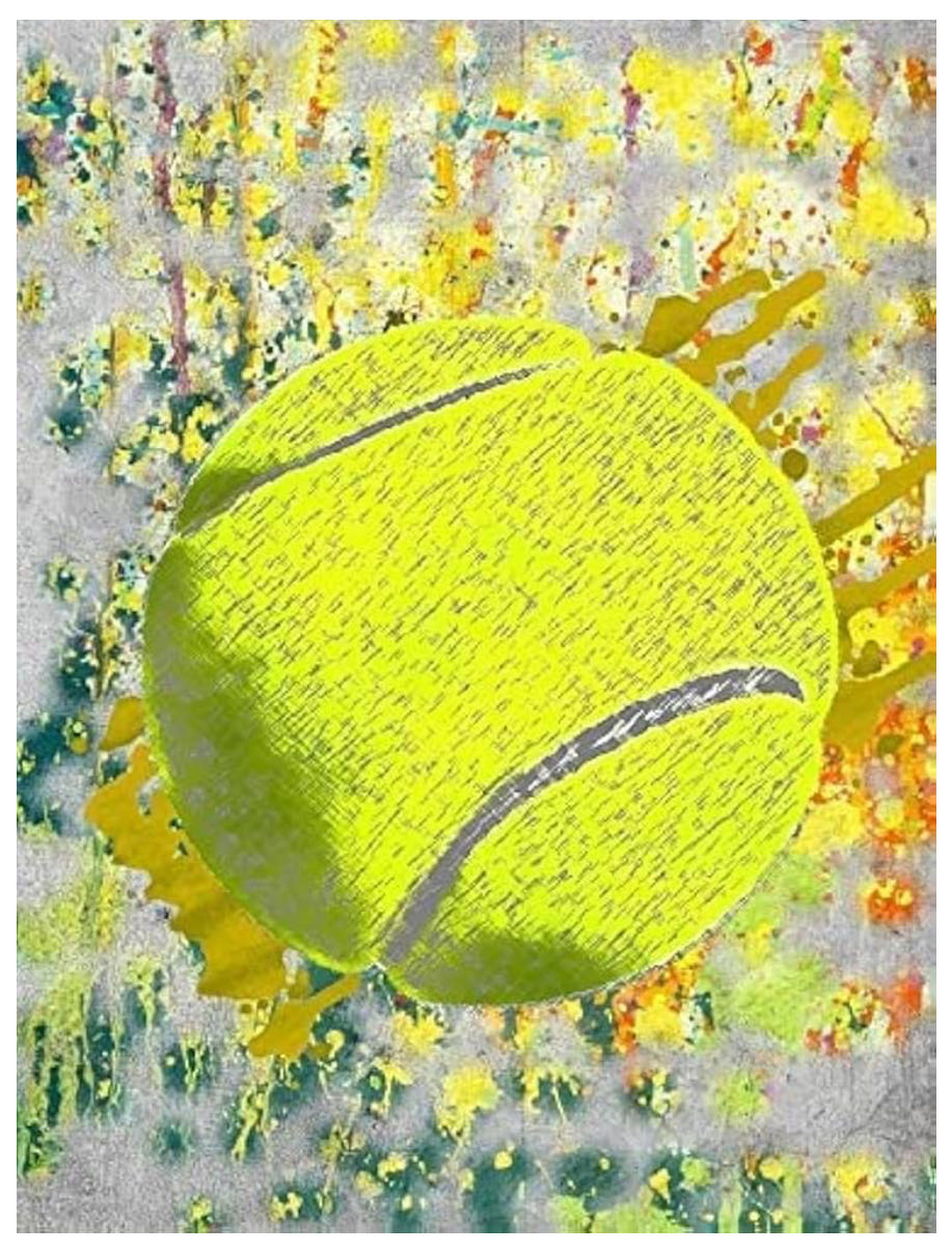 Hedgehog School - Observation