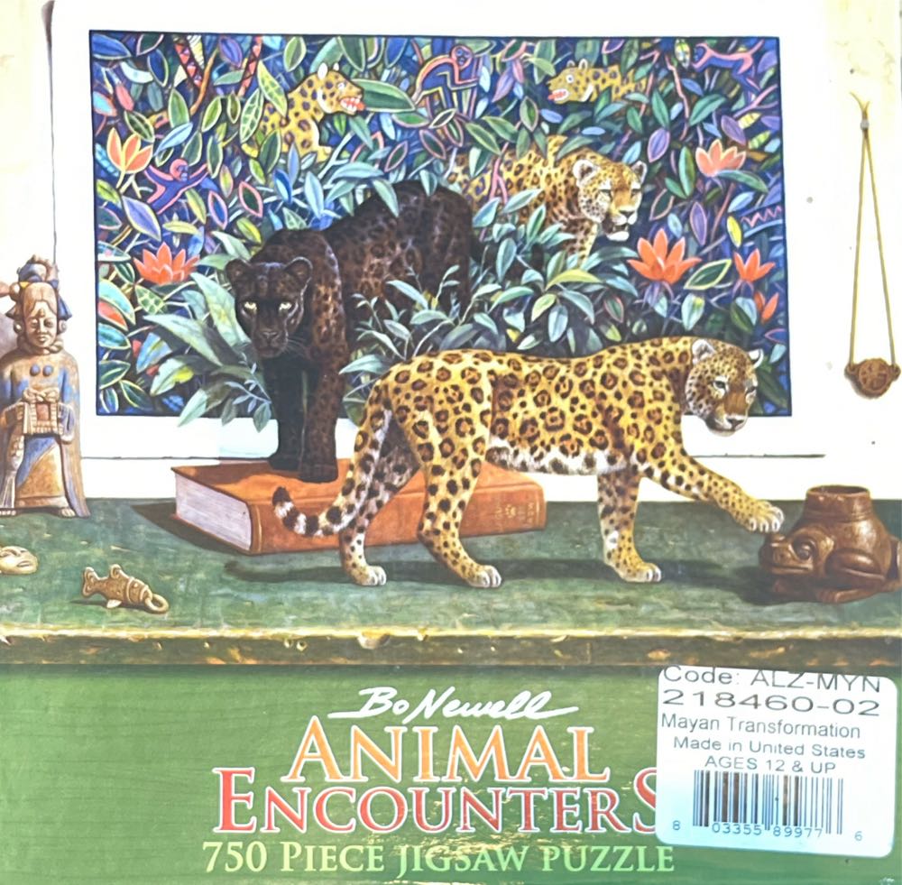 Puzzle Pieces The Asiatic Garden