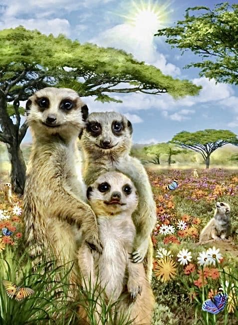 Mischievous Meerkats - Ravensburger puzzle collectible [Barcode 4005556147441] - Main Image 2