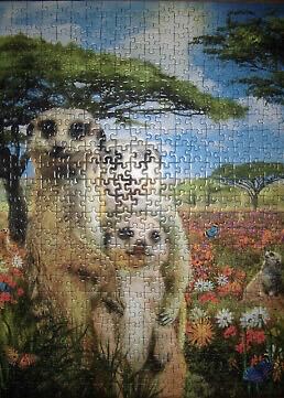 Mischievous Meerkats - Ravensburger puzzle collectible [Barcode 4005556147441] - Main Image 3