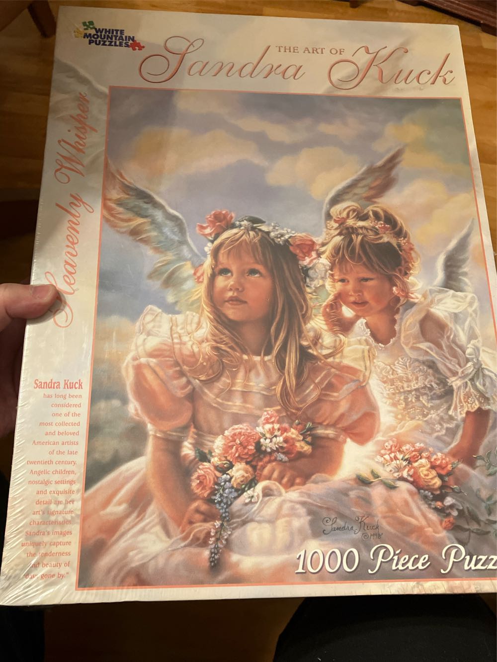 Kaleidoscope Of Feathers